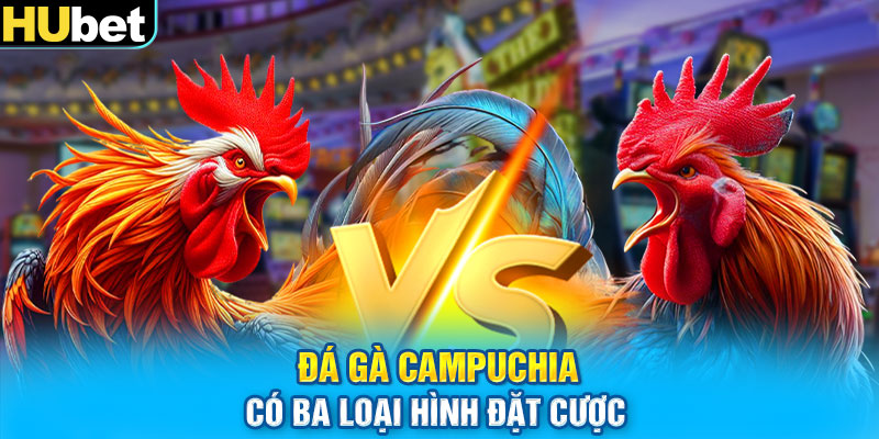 Đá gà Campuchia có ba loại hình đặt cược