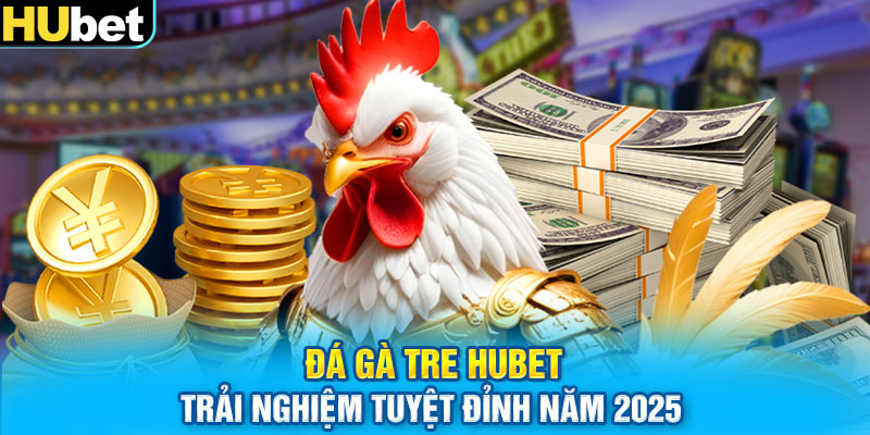 Đá Gà Tre Hubet - Trải Nghiệm Tuyệt Đỉnh Năm 2025