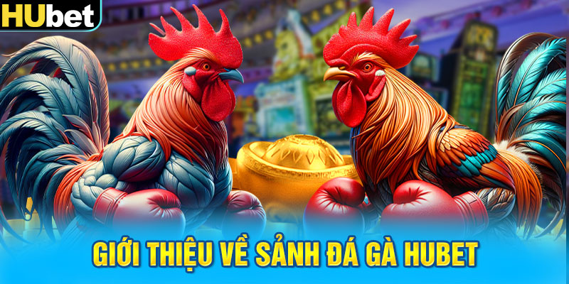 Giới thiệu về sảnh đá gà HUbet