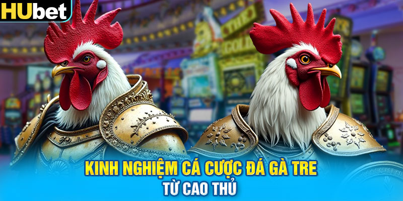 Kinh nghiệm cá cược đá gà tre từ cao thủ