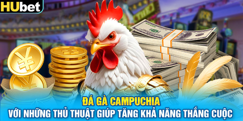 Đá gà Campuchia với những thủ thuật giúp tăng khả năng thắng cuộc